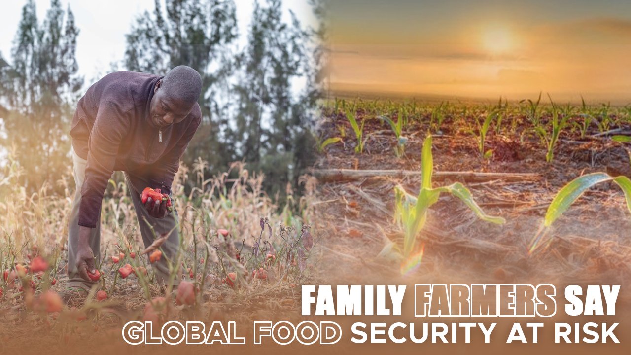 Family Farmers Say Global Food Security At Risk