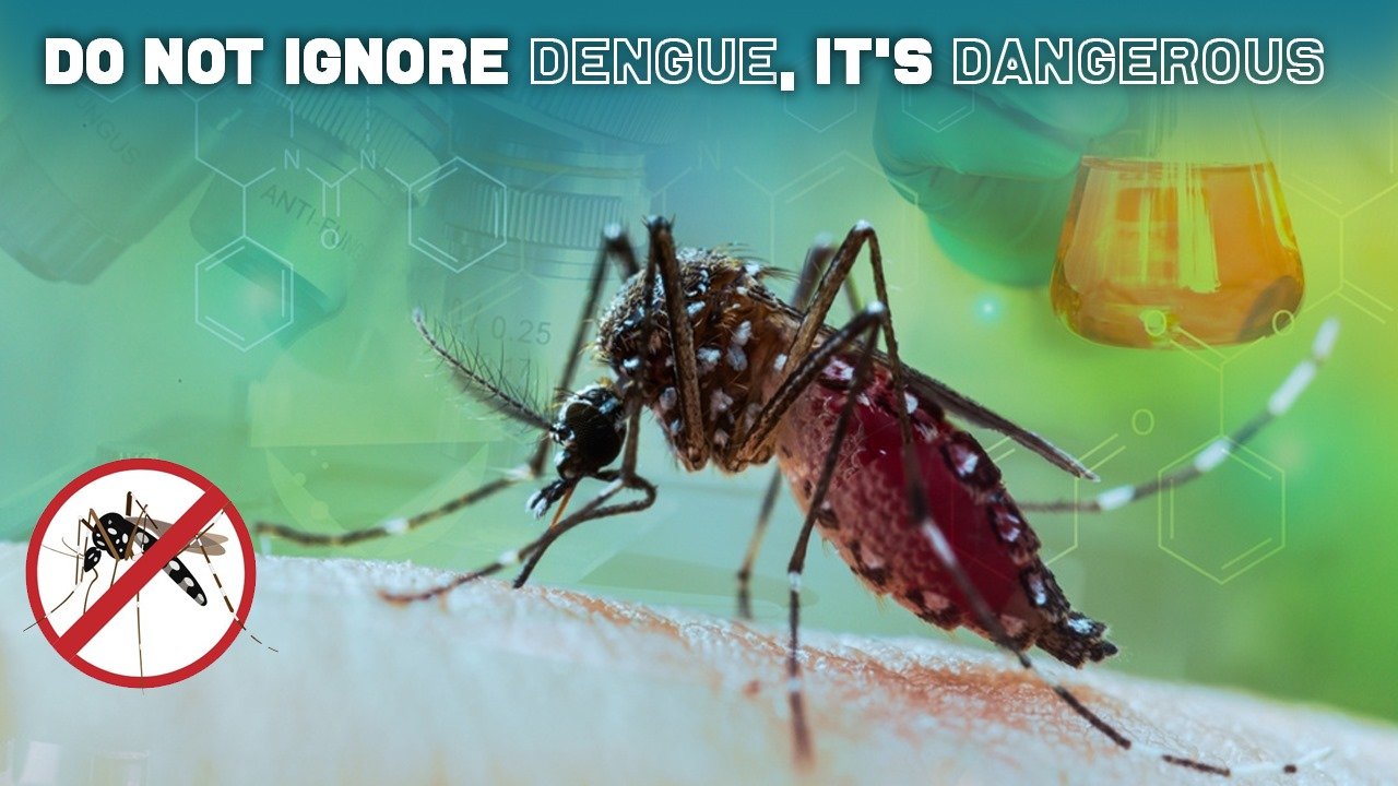 Do Not Ignore Dengue, It's dangerous