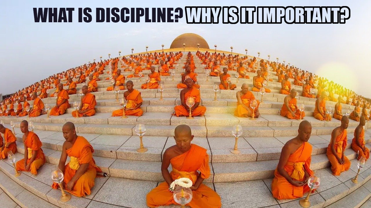 What is Discipline? Why is it Important?